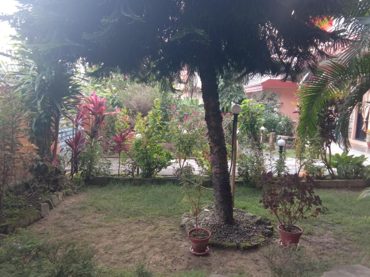 Kalpana G. House Hotel Pokhara Ngoại thất bức ảnh